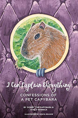 Stacy Winnick I Can Explain Everything, Confessions Of A Pet Capybara