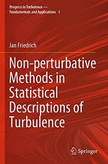 Non-perturbative Methods in Statistical Descriptions of Turbulence (Progress in Turbulence - Fundamentals and Applications, Band 1)