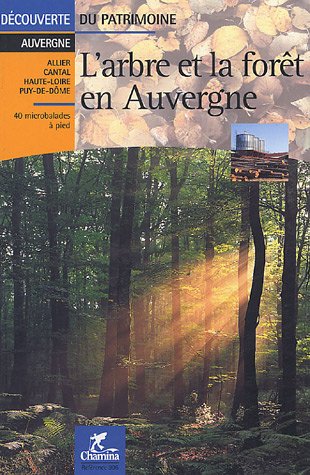 Auvergne Larbre Et La Fort Pied Auvergne