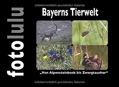 Bayerns Tierwelt: Von Alpensteinbock bis Zwergtaucher