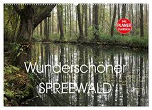 Wunderschöner Spreewald (Wandkalender 2023 DIN A2 quer), Calvendo Monatskalender