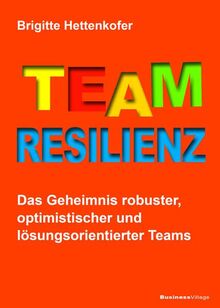 Team-Resilienz: Das Geheimnis robuster, optimistischer und lösungsorientierter Teams