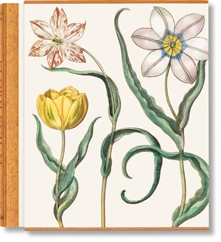 Littger, Klaus Walter Hortus Eystettensis , Ive Diligens Et Accurata Omnium Plantarum, Florum Stirpium, Ex Variis Orbis Terrae Partibus, Singulari Studio Collectarum...