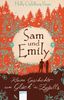 Sam und Emily: Kleine Geschichte vom Glück des Zufalls