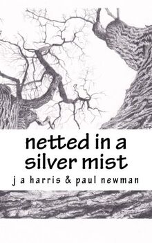 Netted in a Silver Mist