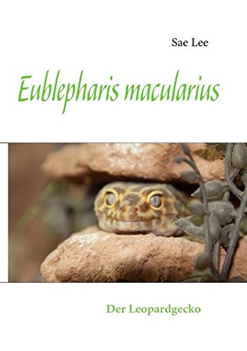 Eublepharis macularius: Der Leopardgecko