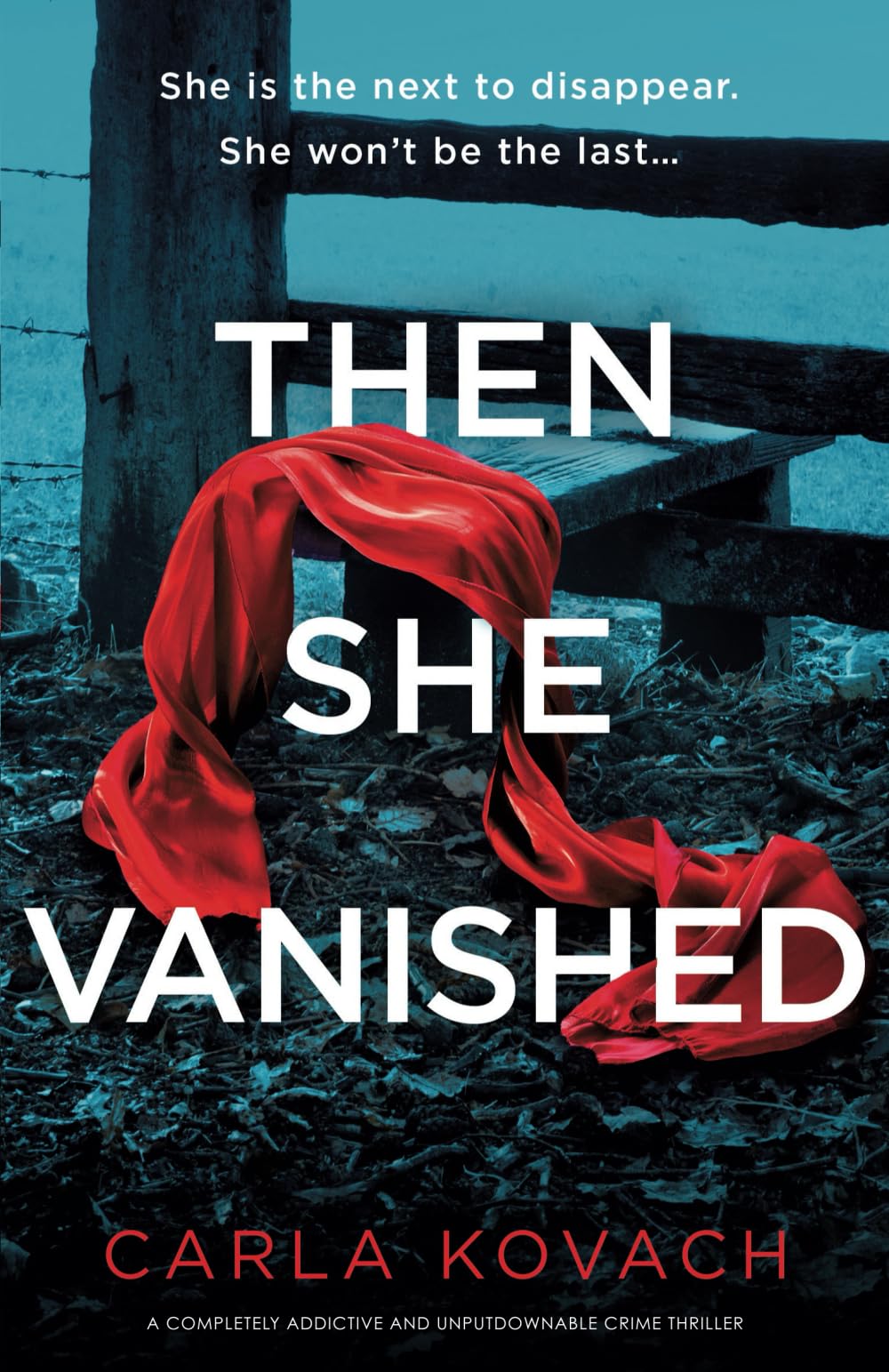 Then She Vanished: A completely addictive and unputdownable crime thriller (Detective Gina Harte, Band 17)