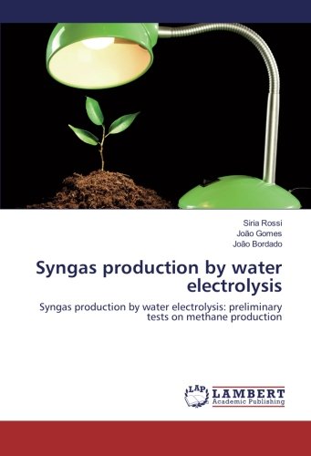 Syngas production by water electrolysis: Syngas production by water electrolysis: preliminary tests on methane production