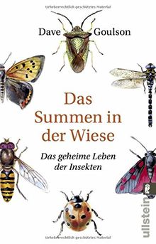 Das Summen in der Wiese: Das geheime Leben der Insekten