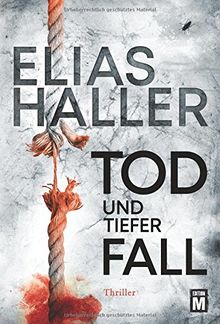 Tod und tiefer Fall (Ein Erik-Donner-Thriller, Band 1)