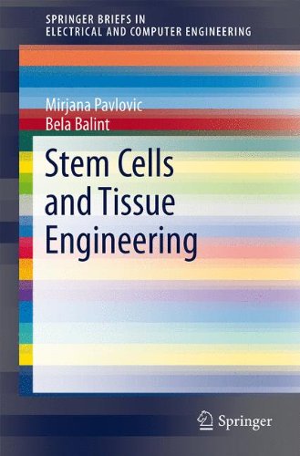 Stem Cells and Tissue Engineering (Springer Briefs in Electrical and Computer Engineering)