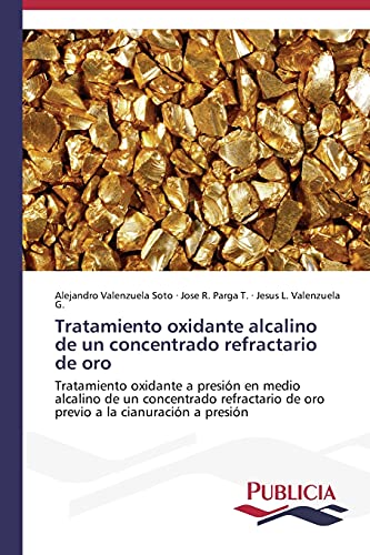 Tratamiento oxidante alcalino de un concentrado refractario de oro: Tratamiento oxidante a presión en medio alcalino de un concentrado refractario de oro previo a la cianuración a presión