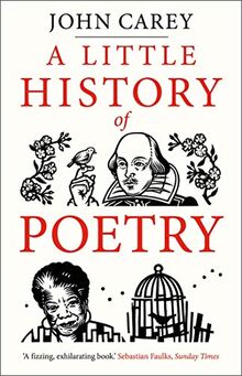 Little History of Poetry (Little Histories)