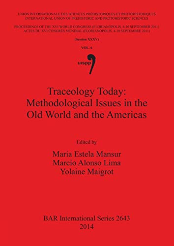 Traceology Today: Methodological Issues in the Old World and the Americas (BAR International, Band 2643)
