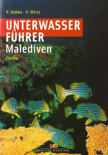 Unterwasserführer Malediven - Fische