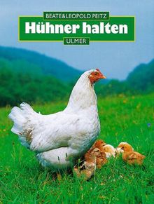 Hühner halten von Beate Peitz | Buch | Zustand akzeptabel