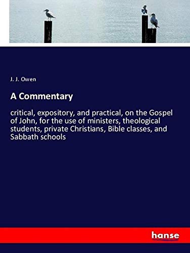 A Commentary: critical, expository, and practical, on the Gospel of John, for the use of ministers, theological students, private Christians, Bible classes, and Sabbath schools