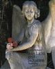 Aus Licht und Schatten: Engelbilder
