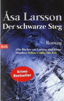 Der schwarze Steg: Roman