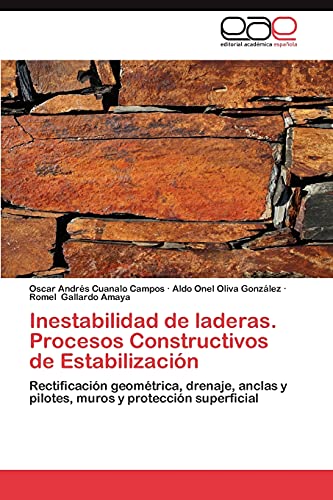Inestabilidad de laderas. Procesos Constructivos de Estabilización: Rectificación geométrica, drenaje, anclas y pilotes, muros y protección superficial