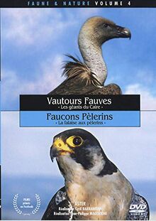 Vautours et faucons [FR Import]