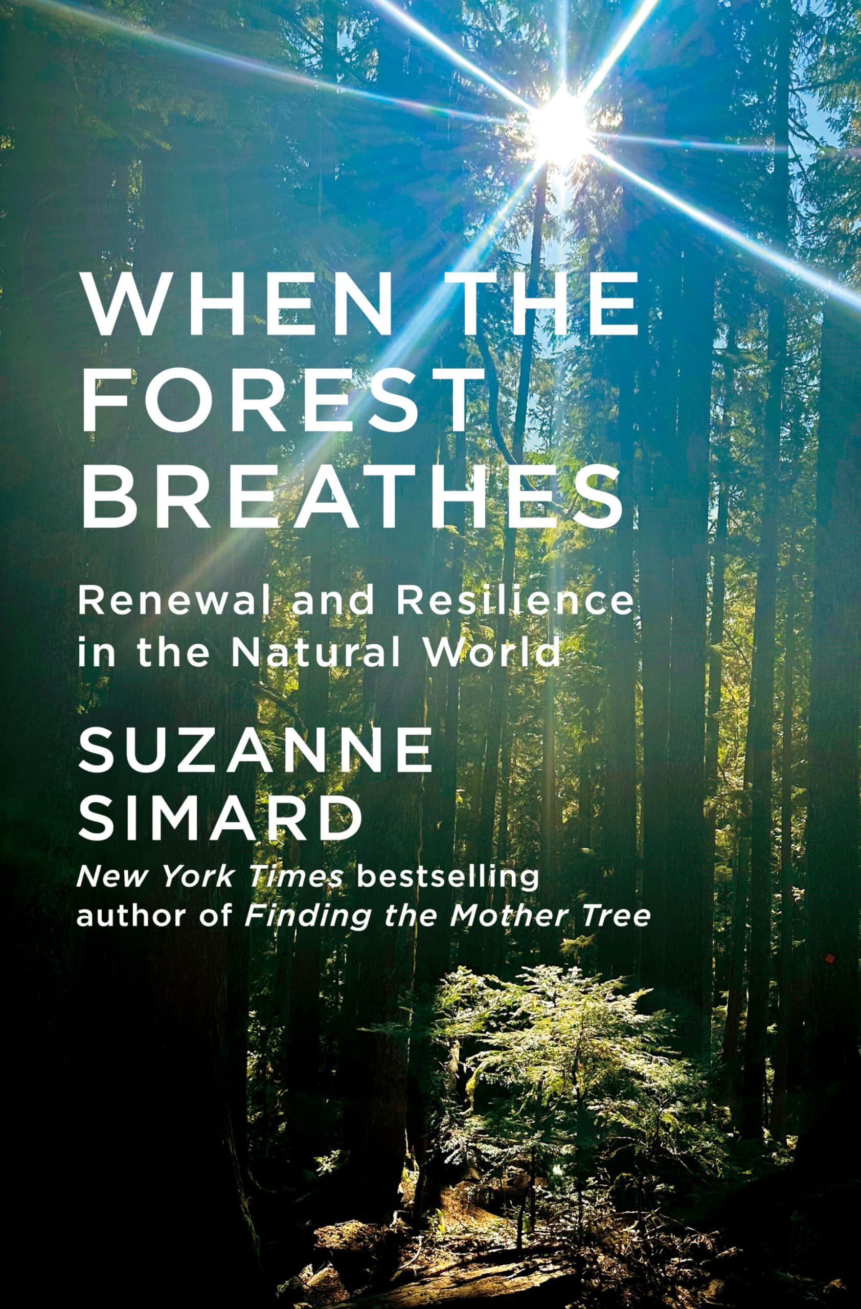 Simard, Suzanne: When the Forest Breathes