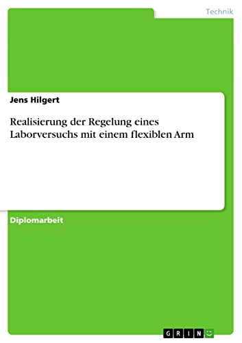 Realisierung der Regelung eines Laborversuchs mit einem flexiblen Arm: Diplomarbeit