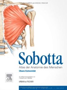 Sobotta, Atlas der Anatomie des Menschen  Heft 2: Obere Extremität