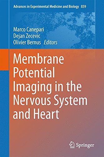 Membrane Potential Imaging in the Nervous System and Heart (Advances in Experimental Medicine and Biology)