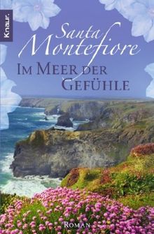 Im Meer der Gefühle: Roman