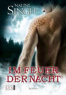 Im Feuer der Nacht