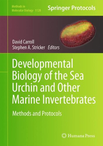 Developmental Biology of the Sea Urchin and Other Marine Invertebrates: Methods and Protocols (Methods in Molecular Biology)