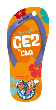 Du CE2 au CM1, 8-9 ans : spécial été : 420 questions