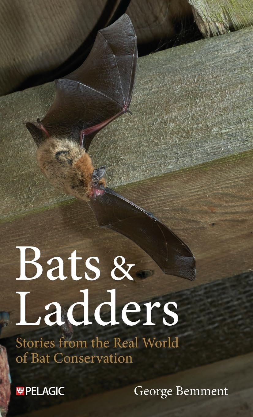 Bats & Ladders: Stories from the Real World of Bat Conservation