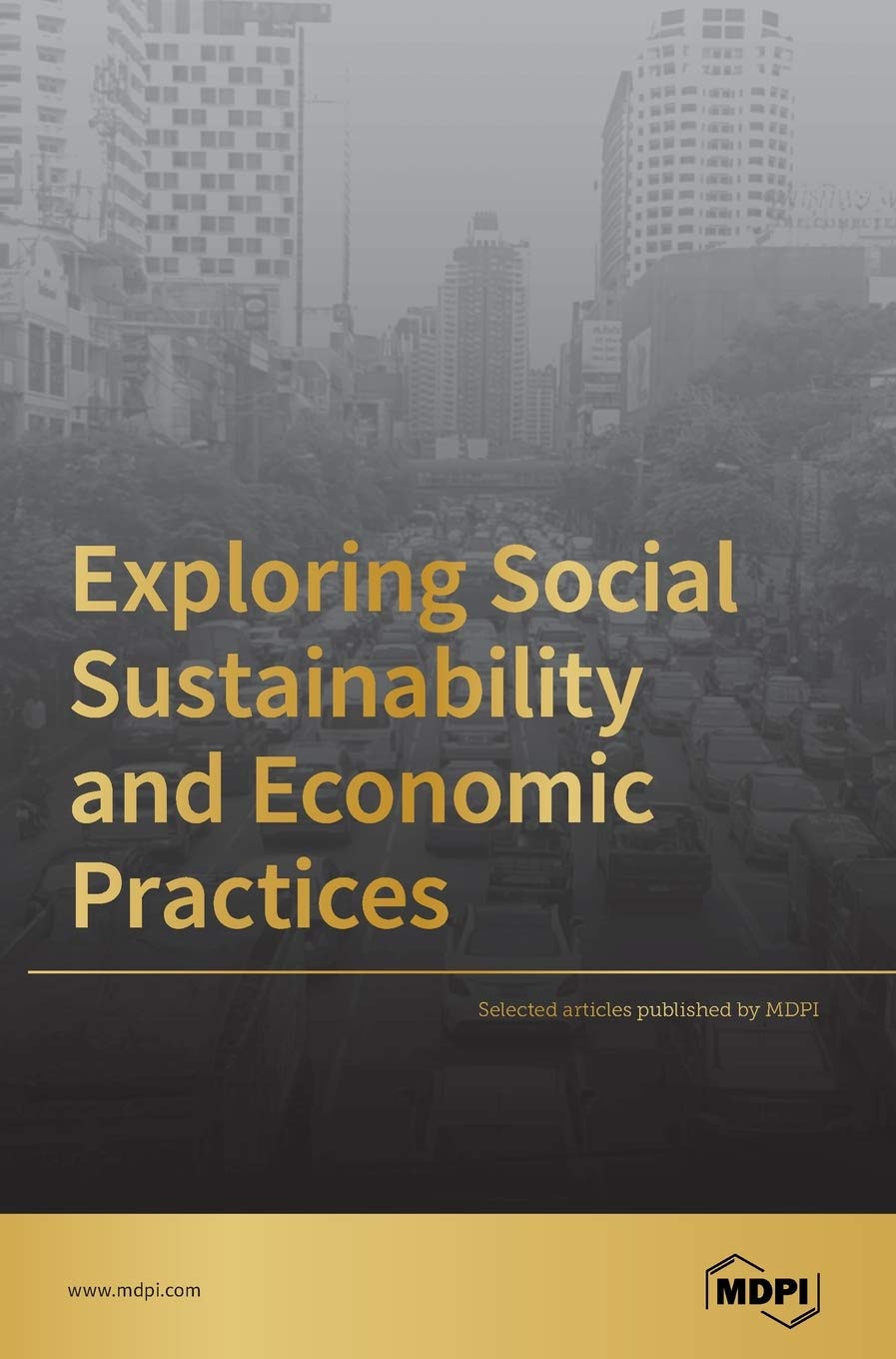 Exploring Social Sustainability and Economic Practices
