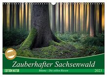 Zauberhafter Sachsenwald (Wandkalender 2023 DIN A3 quer), Calvendo Monatskalender