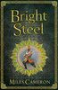 Bright Steel: Masters and Mages Book Three (Masters & Mages)