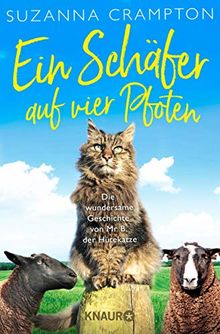 Ein Schäfer auf vier Pfoten: Die wundersame Geschichte von Mr. B, der Hütekatze