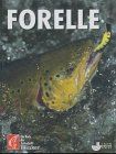 Forellen