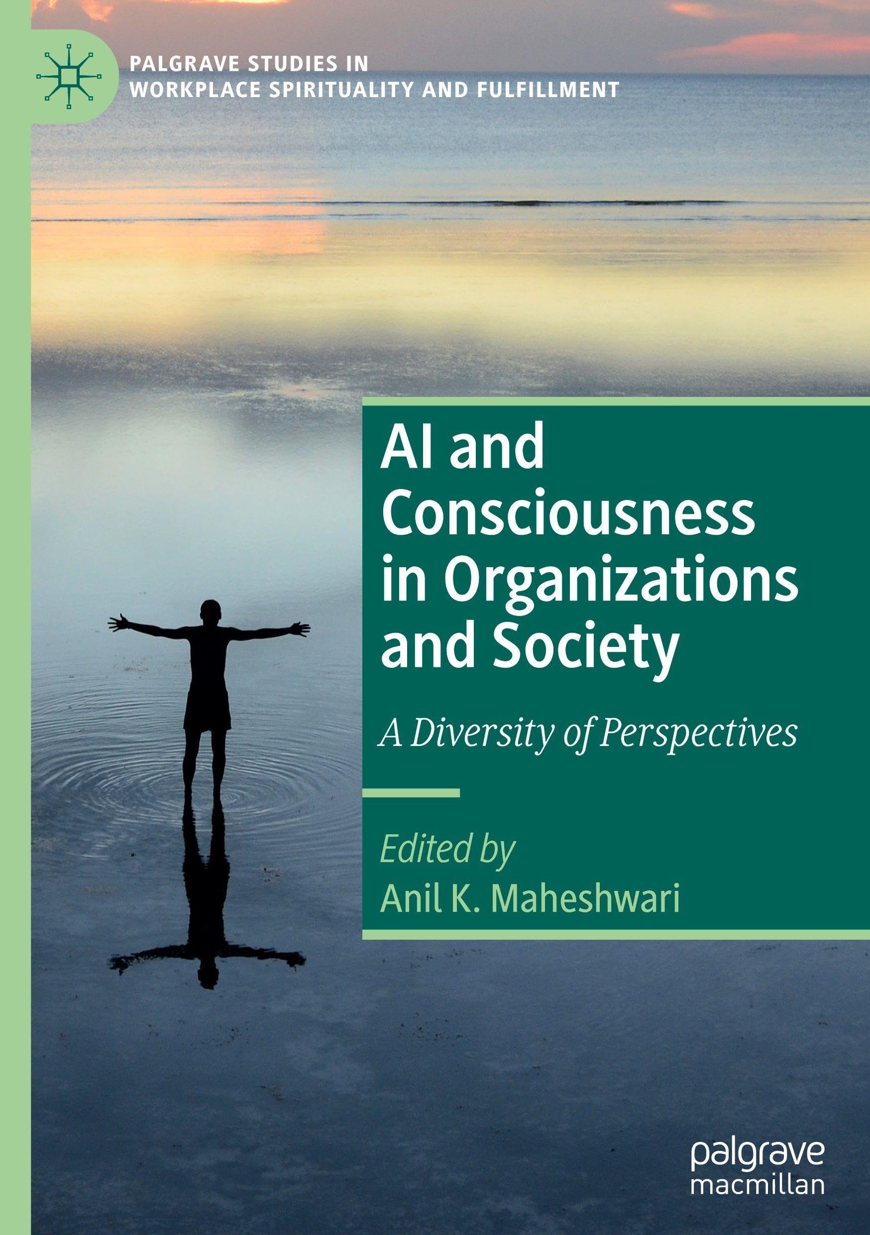 AI and Consciousness in Organizations and Society: A Diversity of Perspectives (Palgrave Studies in Workplace Spirituality and Fulfillment)