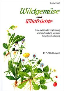 Wildgemüse und Wildfrüchte. Eine wertvolle Ergänzung und Aufwertung unserer heutigen Nahrung: Eine wertvolle Ergänzung und Aufwertung unserer heutigen ... neuen Erkenntnissen und eignen Erfahrungen