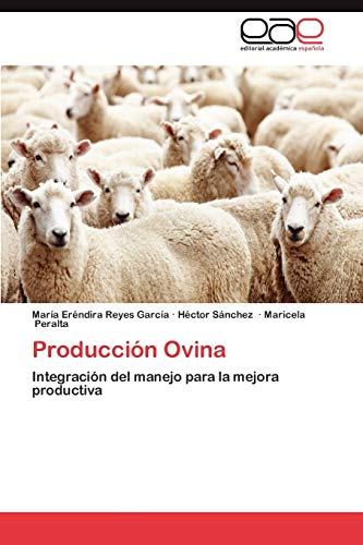 Producción Ovina: Integración del manejo para la mejora productiva