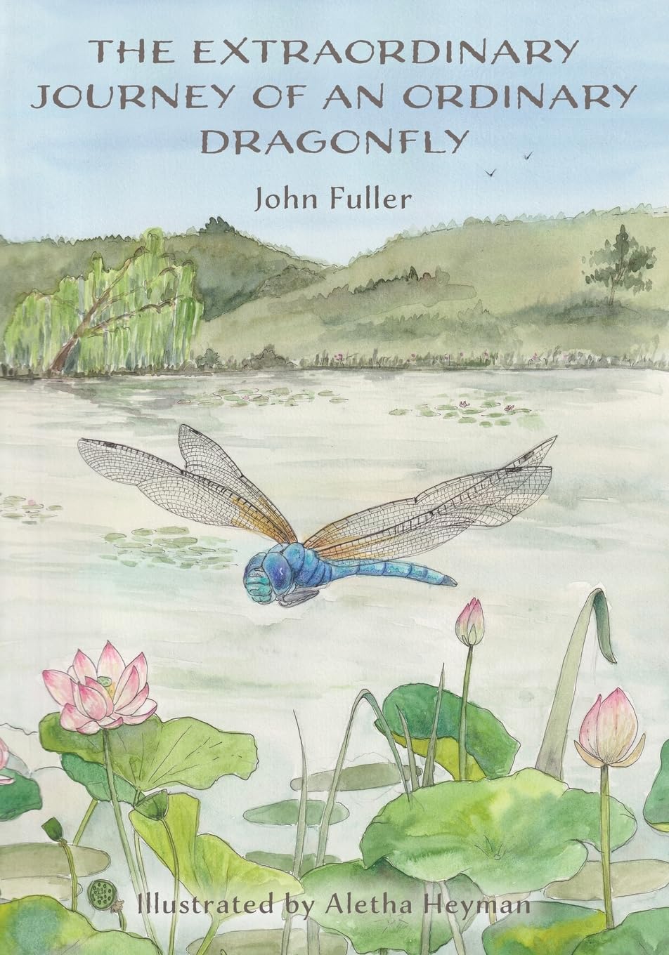 The Extraordinary Journey of an Ordinary Dragonfly