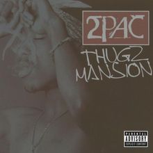 Thugz Mansion