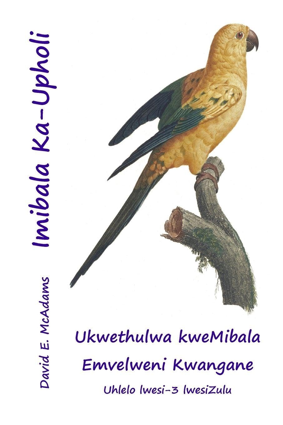 Imibala Ka-Upholi: Ukwethulwa kweMibala Emvelweni Kwangane (Imibala Emvelweni)