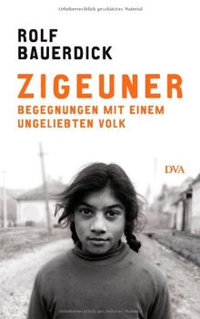 Zigeuner: Begegnungen mit einem ungeliebten Volk