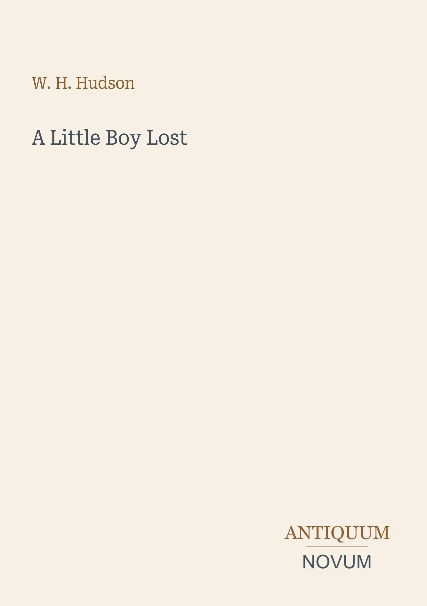 A Little Boy Lost