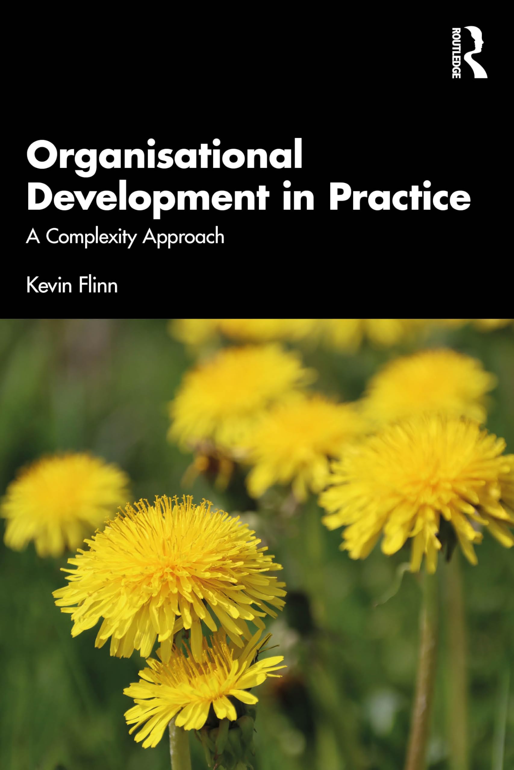 Organisational Development in Practice: A Complexity Approach