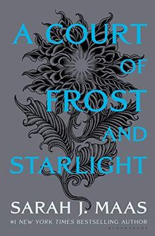 A Court of Frost and Starlight (A Court of Thorns and Roses, Band 10)