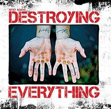 Destroying Everything: Seems Like the Only Option